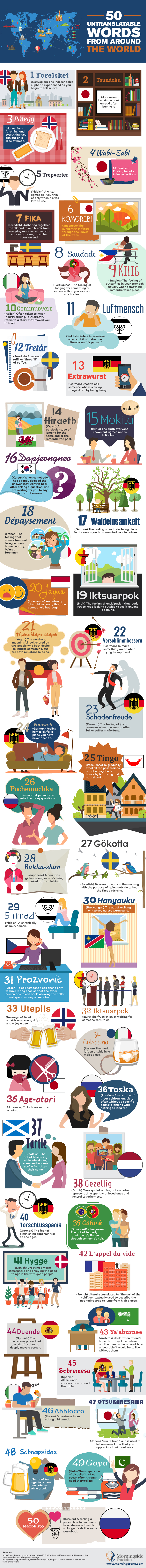 Morningside Translations Infographic