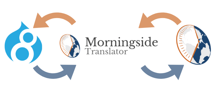 Website Translation: How Do We Manage Regular Updates in 20 Languages?