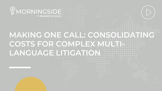 Consolidating Costs for Complex Multi-Language Litigation